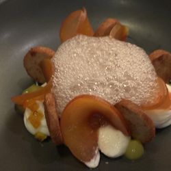 Änkôr - Dessert - Plums