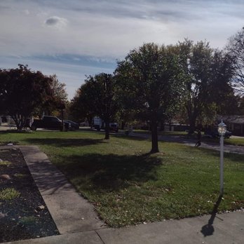 Willoughby Tree Service - Tree Services Near Me Willoughby Tree Service - Tree Services Near Me