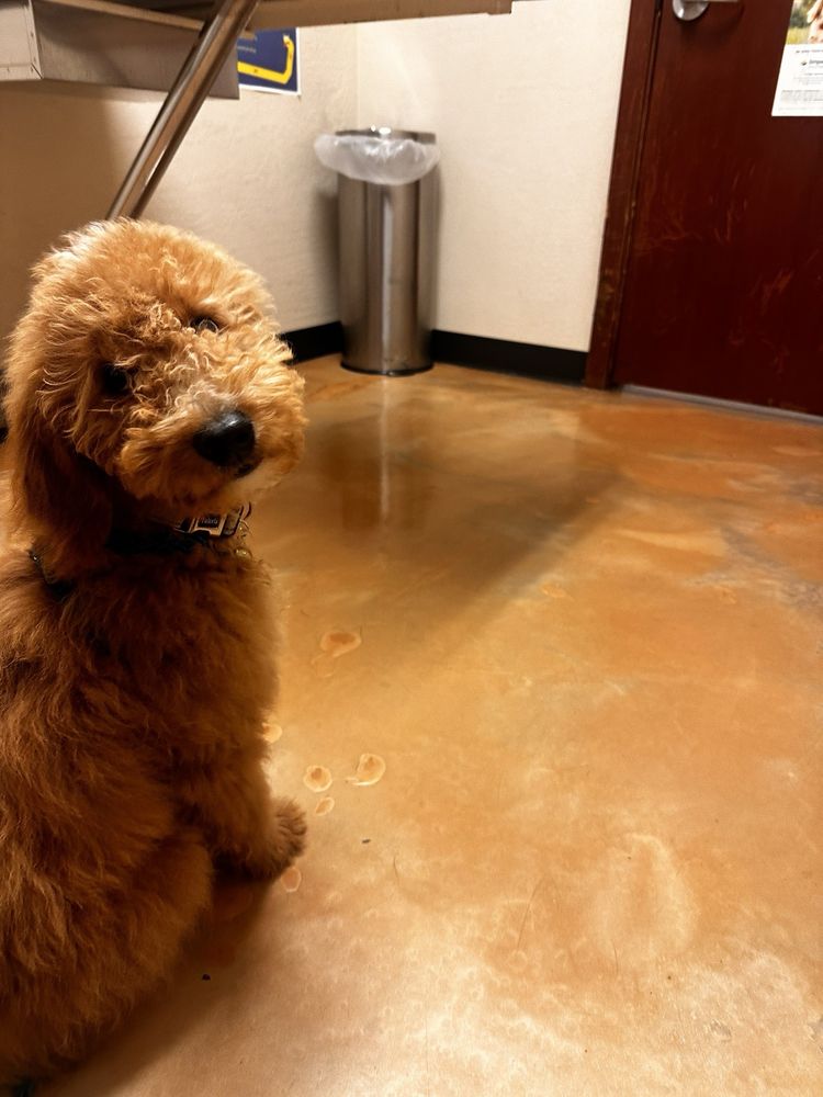 CAMELBACK ANIMAL CLINIC Updated October 2024 48 Photos & 97 Reviews