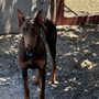 Photo of Elm Veterinary Hospital