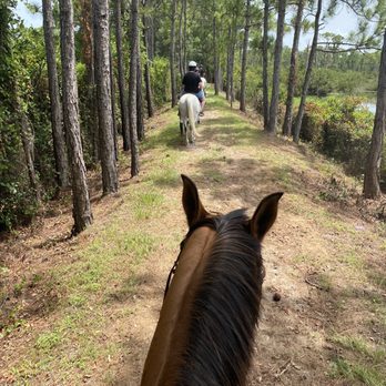 Desert Rose Ranch - The beautiful trail ride - Horseback Riding Near Me - Jupiter, Florida