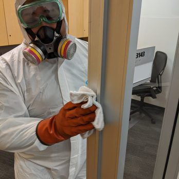 Viking Pest Control - Viking's Pro-Clean Disinfecting and Sanitization Service - Pest Control Near Me - Wayne, New Jersey