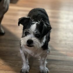 C & C Pet Food For Less - #Happy
