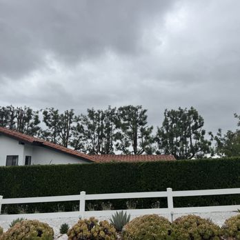 M&M Tree Service - Tree Services Near Me - La Puente, California