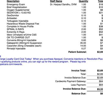 Berkeley Dog & Cat Hospital - Veterinarians Near Me - Berkeley, California