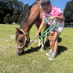 Trot Time Farm