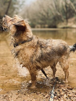 Lake Houston Wilderness Park by null
