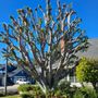 Photo of Solis Garden Maintenance