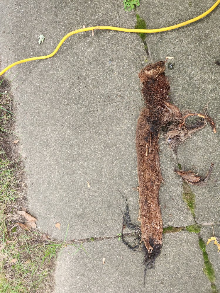 Slide of Bill's Sewer Service