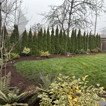 SKB Yard Care - Back yard after - Gardeners Near Me SKB Yard Care - Back yard after - Gardeners Near Me