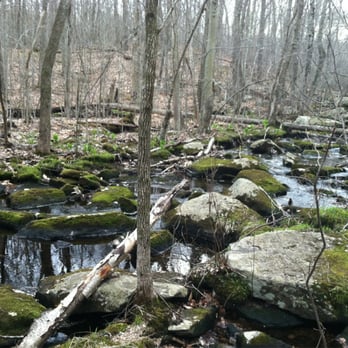 George B Parker Woodland - Hiking Near Me - Coventry, Rhode Island George B Parker Woodland - Hiking Near Me - Coventry, Rhode Island