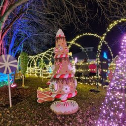 Wild Lights at the St. Louis Zoo