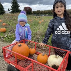 Piefer Family Farm - Yay pumpkins