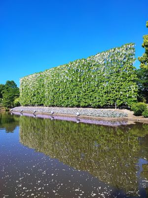 Ashikaga Flower Park by null