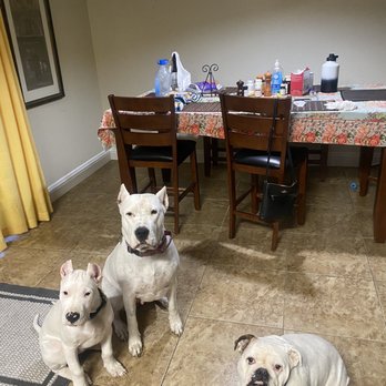 Best Paw Forward - The team - Pet Training Near Me - Indio, California