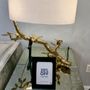 Photo of Jonathan Adler