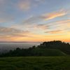 Claremont Canyon Regional Preserve gift card