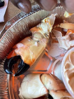 Fresh Florida Fisheries by null