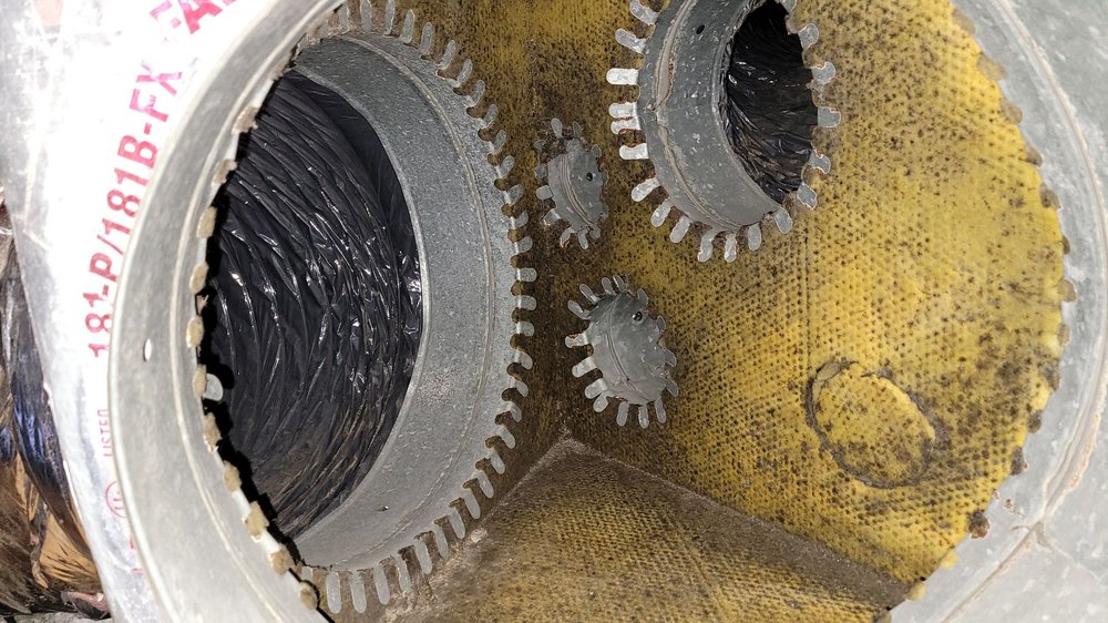 AMERICAN HOMES 4 RENT 17 Photos & 68 Reviews 4651 Salisbury Rd