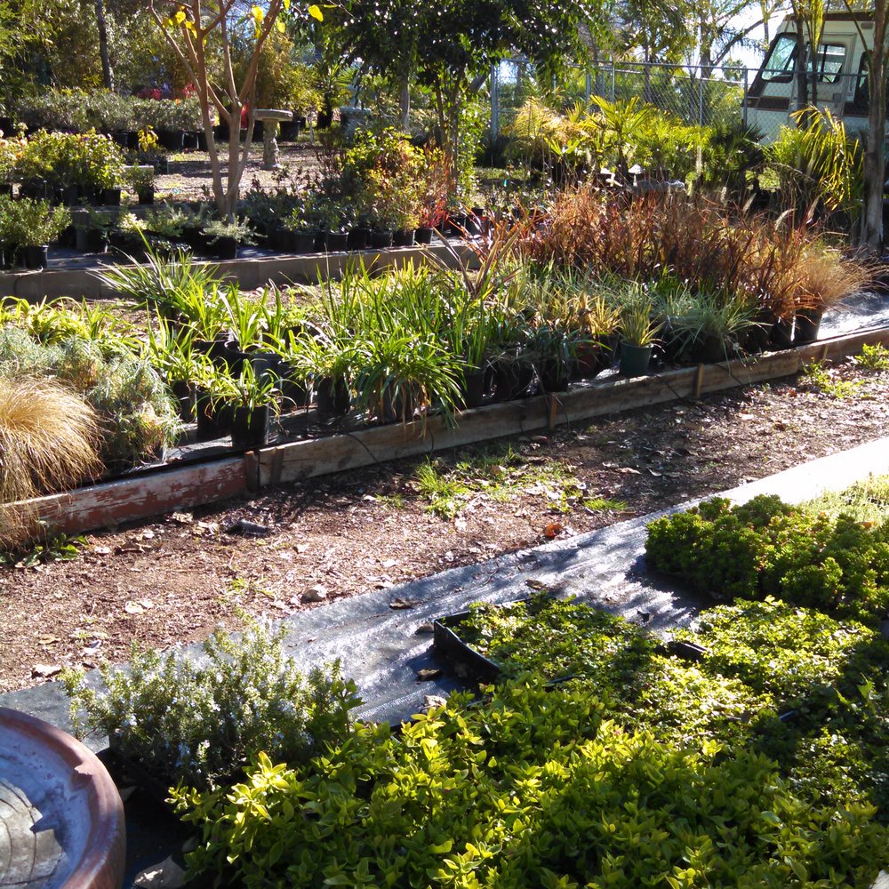 Four Queens Nursery - Nurseries & Gardening Near Me - Escondido, California Four Queens Nursery - Nurseries & Gardening Near Me - Escondido, California