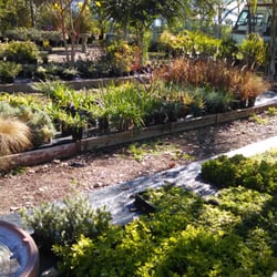 Four Queens Nursery
