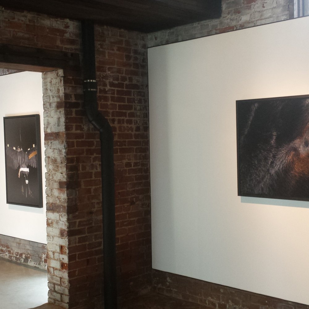 Whitespace Gallery - View between the two rooms. "Eyes Open Slowly", Constance Thalken - Art Galleries Near Me - Atlanta, Georgia