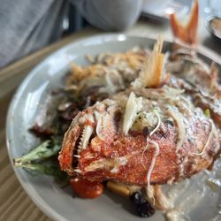 Cayo Azul - Red snapper