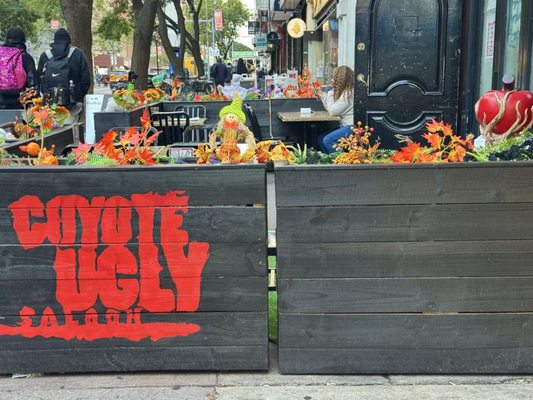 Coyote Ugly New York by null