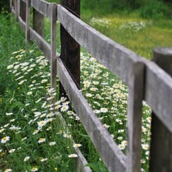 Massachusetts Survey Consultants - Fence Survey in Massachusetts