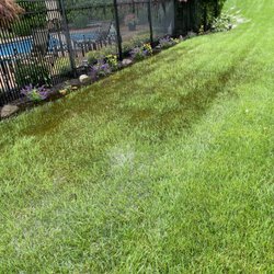 Heidrich Landscaping - Yard flooding after rain.
We spent a lot of money on the system that Heidrich installed but it does not work at all