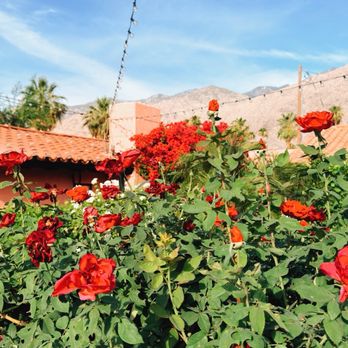 Les Cactus - Hotels Near Me - Palm Springs, California Les Cactus - Hotels Near Me - Palm Springs, California