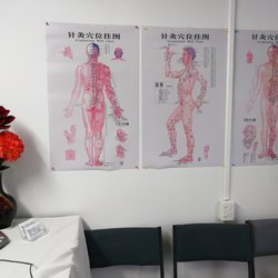 Traditional Chinese Medicine Healing centre