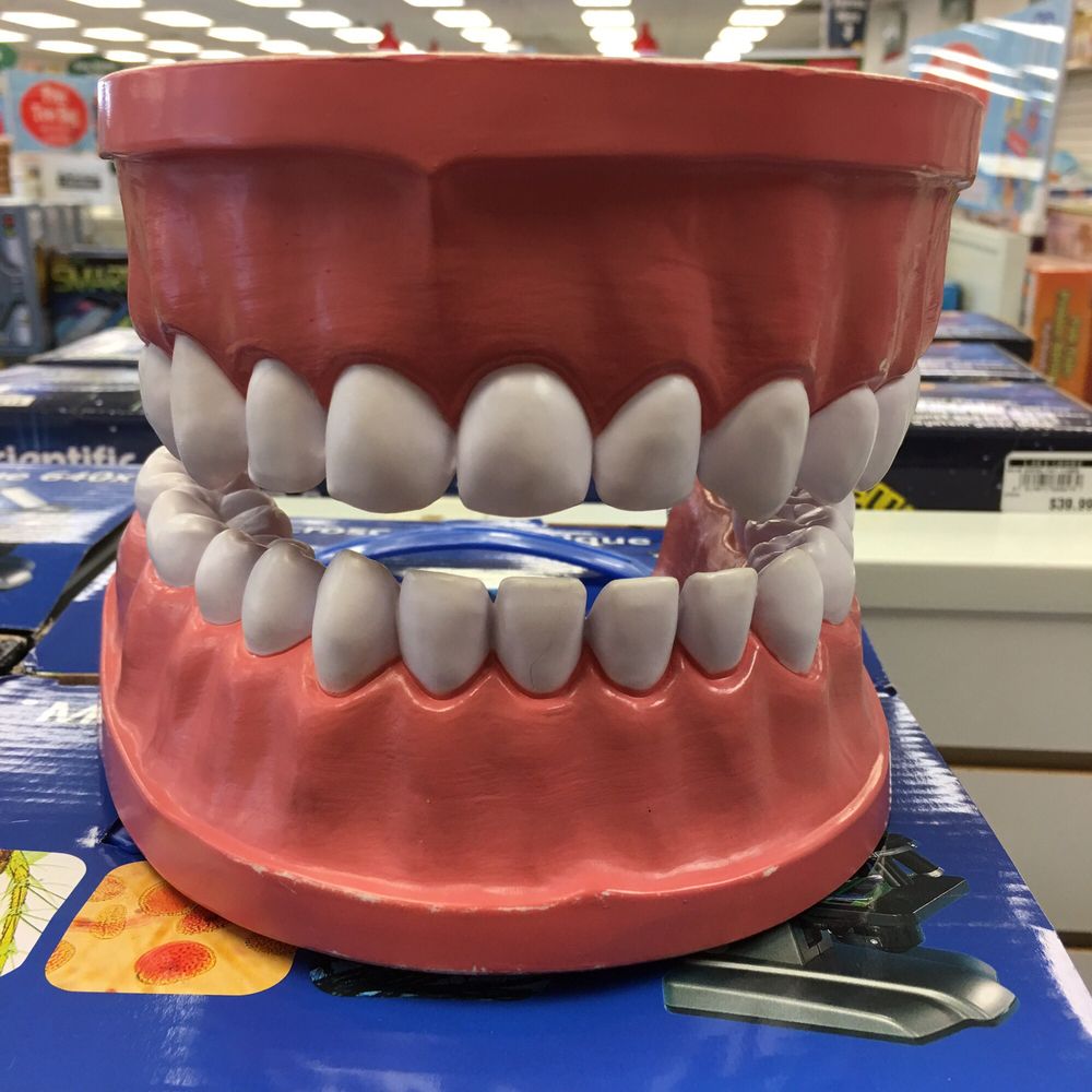 lakeshore-learning-store-10-photos-17-reviews-449-essex-st