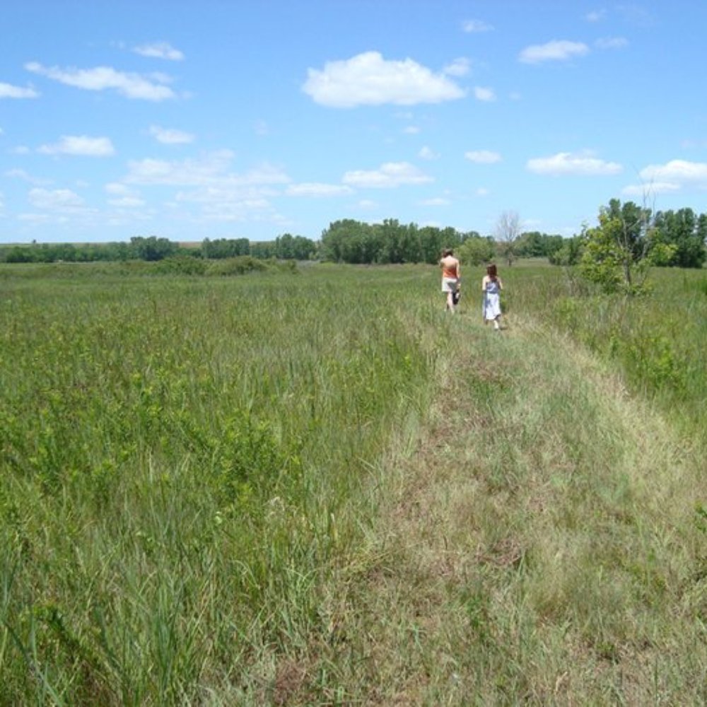 Perry State Park - Delaware Marsh Trail - Hiking Near Me - Ozawkie, Kansas Perry State Park - Delaware Marsh Trail - Hiking Near Me - Ozawkie, Kansas