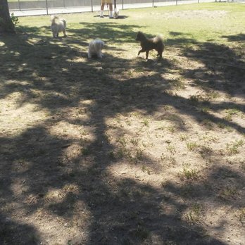 Arcadia's Dog Park - Yogi can't get enough of his friends. Makes me happy to see him having fun. - Dog Parks Near Me - Arcadia, California Arcadia's Dog Park - Yogi can't get enough of his friends. Makes me happy to see him having fun. - Dog Parks Near Me - Arcadia, California