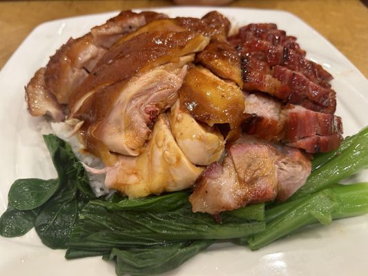 Ting Wong by null
