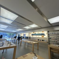 Apple Renaissance at Colony Park