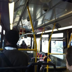 123 Shorncliff Bus
