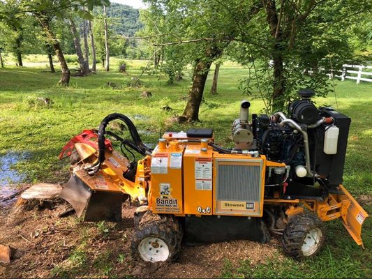 Stump Removal Services - At JD Tree Service, we recommend removing any stumps on your property for various reasons. Stumps take away from your lawn's appearance. Having a well-kept lawn helps to increase the value of your property! Stumps also pose a safety hazard for people walking on your lawn. As stumps begin to dry out and decay, they often attract termites, roaches, beetles, ants, and other insects that travel to nearby wooden structures and buildings. At JD Tree Service, we offer affordable pricing, professional workmanship, and customer service you deserve. Stump Removal Services - At JD Tree Service, we recommend removing any stumps on your property for various reasons. Stumps take away from your lawn's appearance. Having a well-kept lawn helps to increase the value of your property! Stumps also pose a safety hazard for people walking on your lawn. As stumps begin to dry out and decay, they often attract termites, roaches, beetles, ants, and other insects that travel to nearby wooden structures and buildings. At JD Tree Service, we offer affordable pricing, professional workmanship, and customer service you deserve.