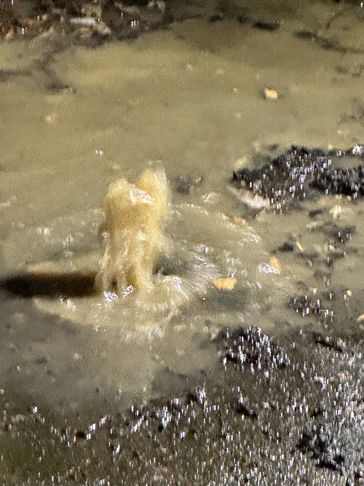 Slide of Affordable Drain solutions