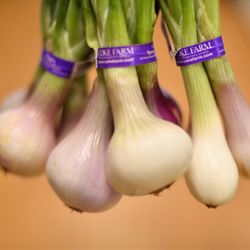 George Street Co-op - Spring shallots -- always organic