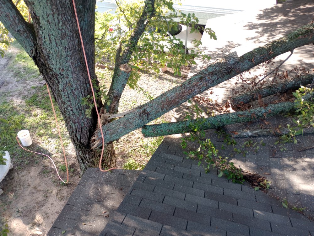 Slide of Post Roofing & Tree Services