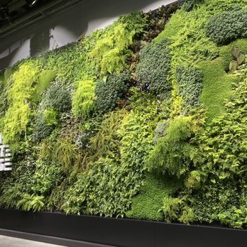 Climate Pledge Arena - Living wall. - Stadiums & Arenas Near Me - Seattle, Washington Climate Pledge Arena - Living wall. - Stadiums & Arenas Near Me - Seattle, Washington