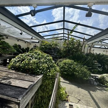 US National Arboretum - Indoor/outdoor bonsai and tropical arrangement - Botanical Gardens Near Me - Washington, DC, District of Columbia US National Arboretum - Indoor/outdoor bonsai and tropical arrangement - Botanical Gardens Near Me - Washington, DC, District of Columbia