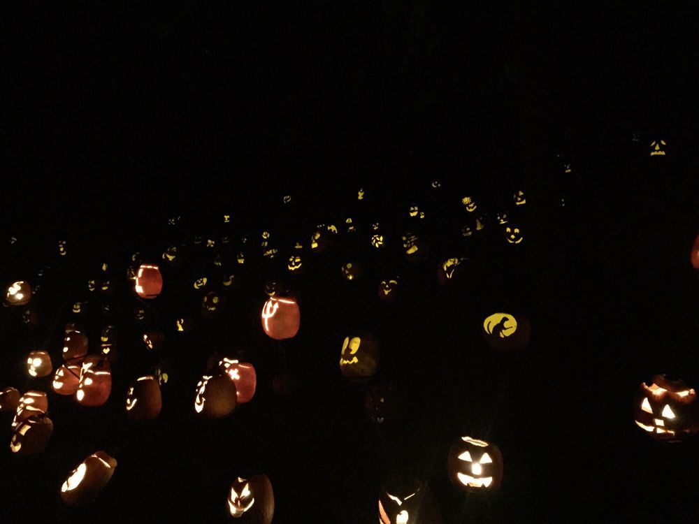 Social spots from Halloween Fair