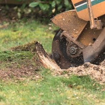Keeping It Green - Tree Services Near Me - Loveland, Ohio