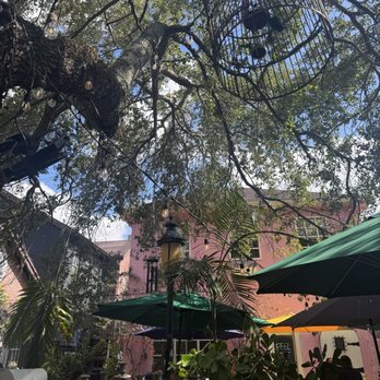 Neverland Coffee Bar - Coffee & Tea Near Me - North Miami Beach, Florida Neverland Coffee Bar - Coffee & Tea Near Me - North Miami Beach, Florida