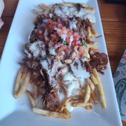 Birria fries Birria fries