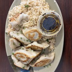 Doughboy Dumplings - Pan-Fried Teriyaki Chicken Dumplings with Fried Rice