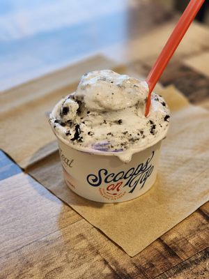 Scoops On Tap by null